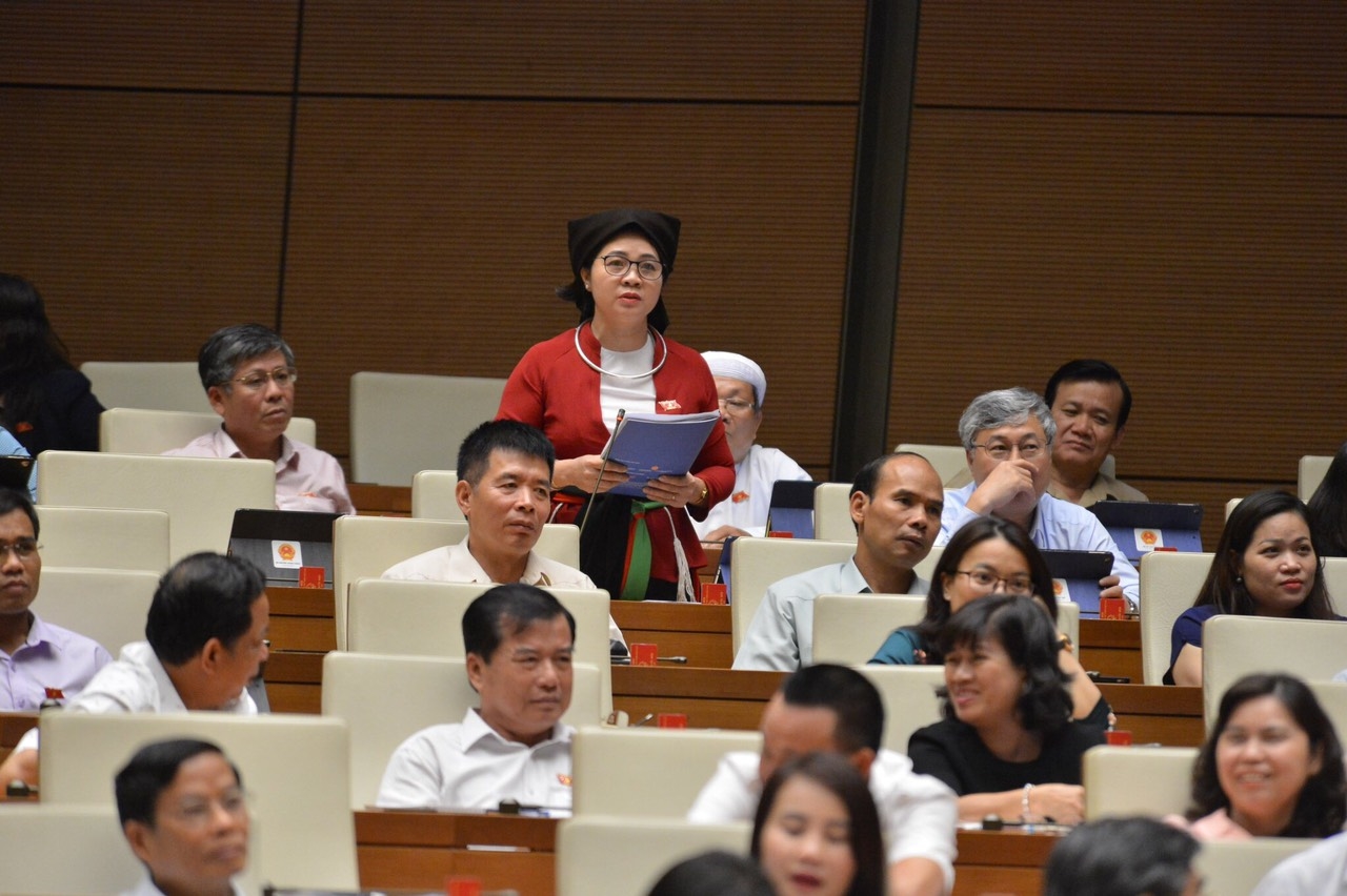 Bà Leo Thị Lịch phát biểu tại nghị trường Quốc hội 