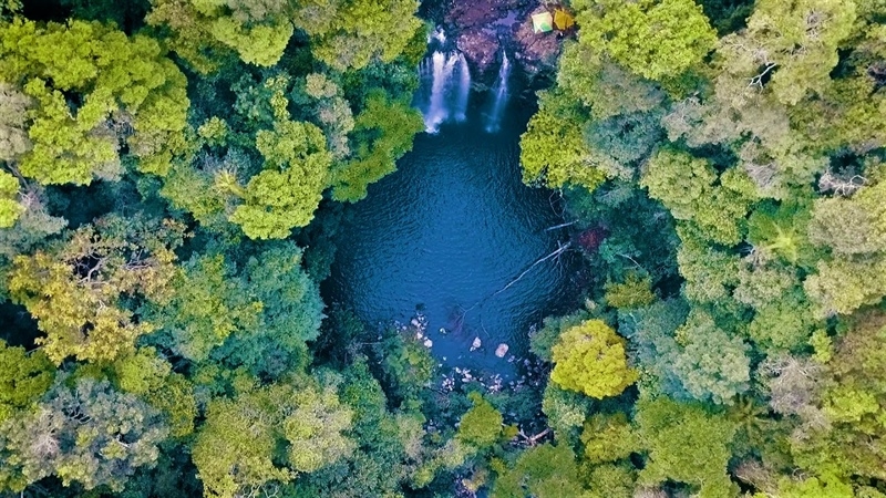 Khu bảo tồn thiên nhiên Kon Chư Răng có 15.900 ha rừng nguyên sinh, trong đó phân khu bảo vệ nghiêm ngặt 8.746 ha và phân khu phục hồi sinh thái 7.154 ha