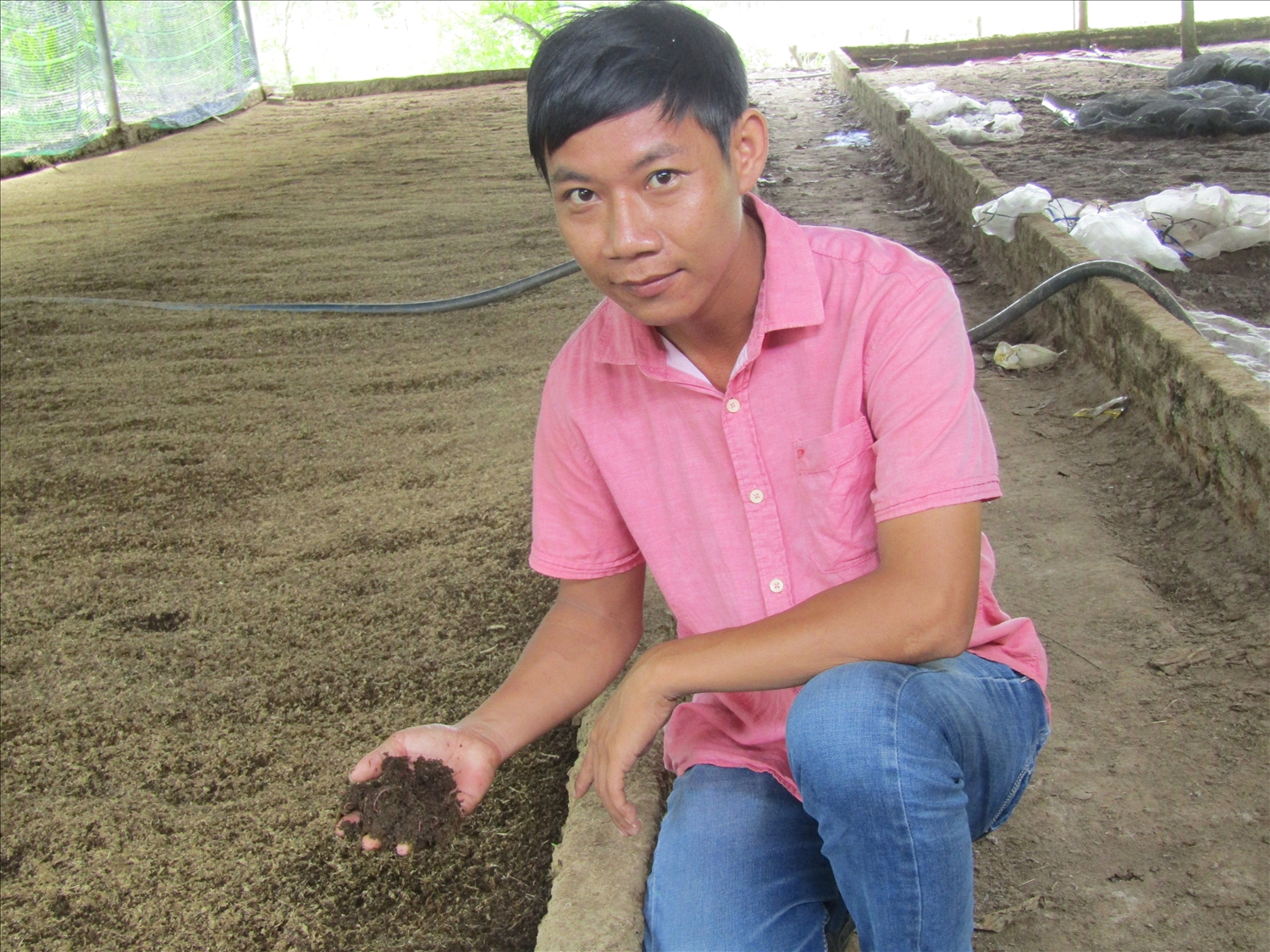 Khánh Hòa Xuất hiện nhiều mô hình chăn nuôi trồng trọt mới lợi nhuận tốt  để nông dân mắt thấy tai nghe