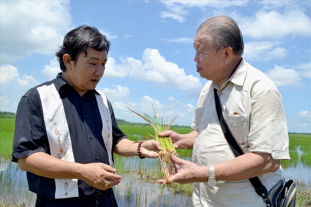 Các chuyên gia chia sẻ về khó khăn của người trồng lúa miền Tây 
