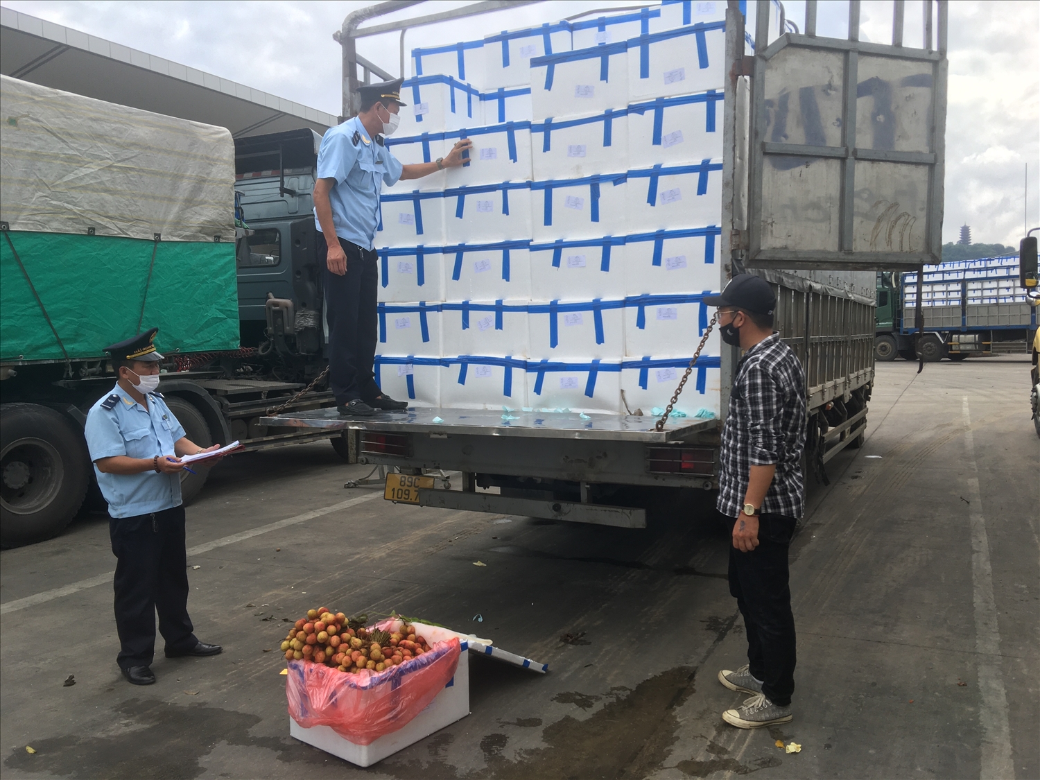 Hàng hóa nông sản, đặc biệt là vải thiều từ các tỉnh Hải Dương, Bắc Giang xuất khẩu sang Trung Quốc được ưu tiên thông quan trong thời gian nhanh nhất