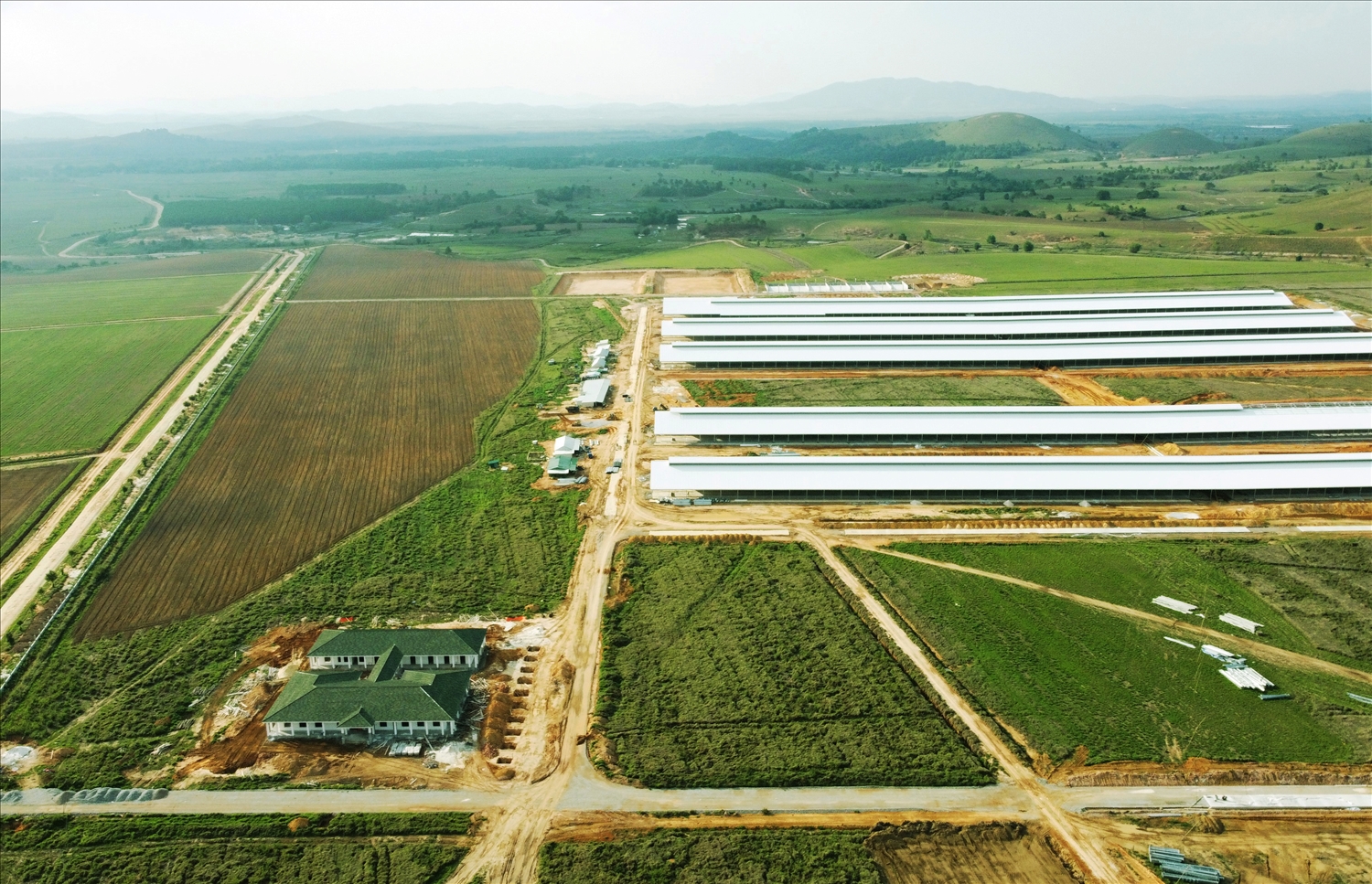 Trang trại đầu tiên trong Tổ hợp bò sữa Lao-Jagro tại Xiêng Khoảng của Vinamilk đã hoàn thành các hạng mục xây dựng cơ bản (ảnh chụp tháng 5/2021)