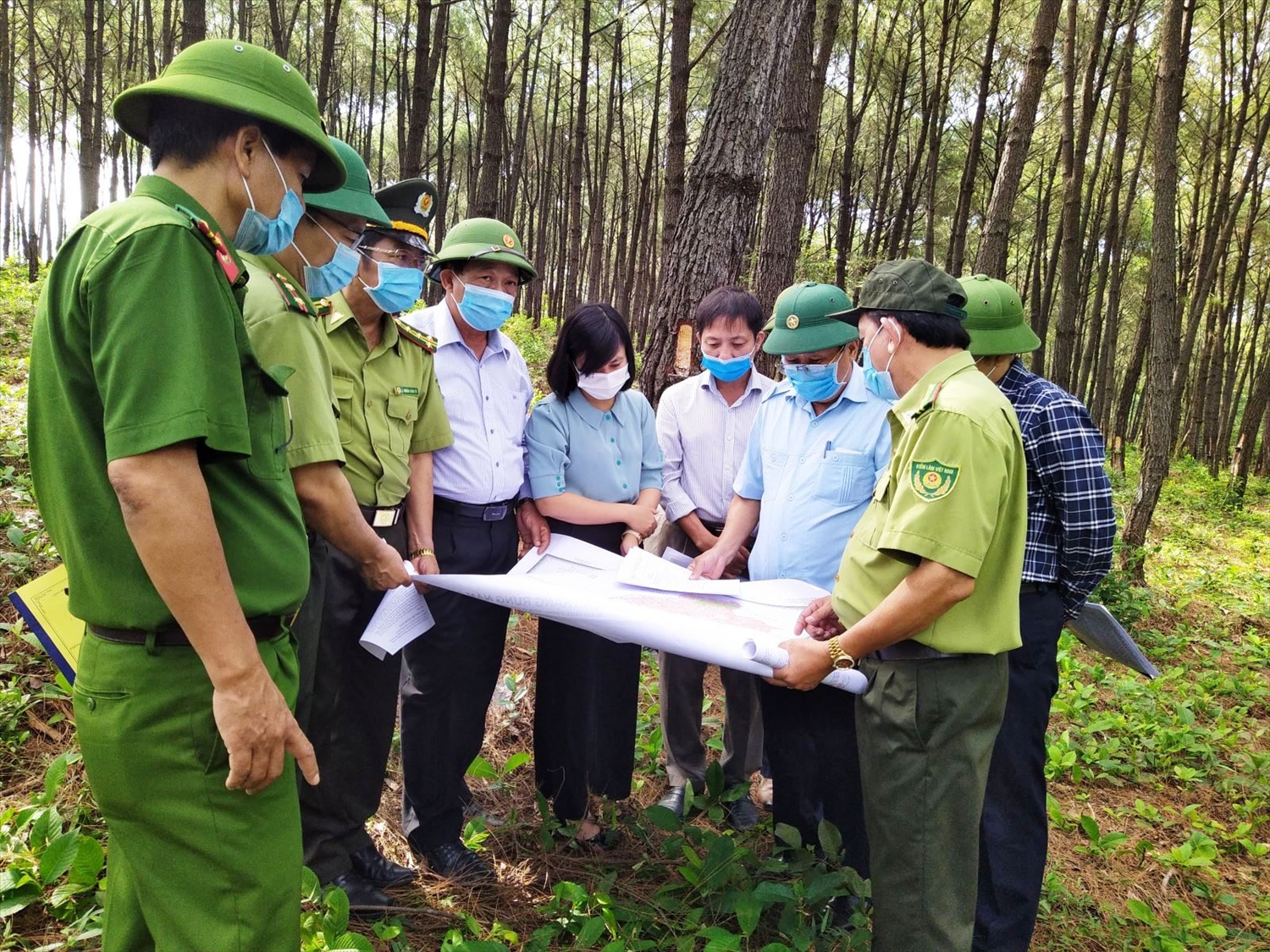 Kiểm tra PCCR ở huyện Triệu Phong, tỉnh Quảng Trị