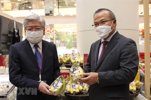 Ông Soichi Okazaki (trái), Ủy viên Ban Điều hành AEON phụ trách khu vực ASEAN và Đại sứ Vũ Hồng Nam (phải) giới thiệu quả chuối Việt Nam với các phóng viên Nhật Bản