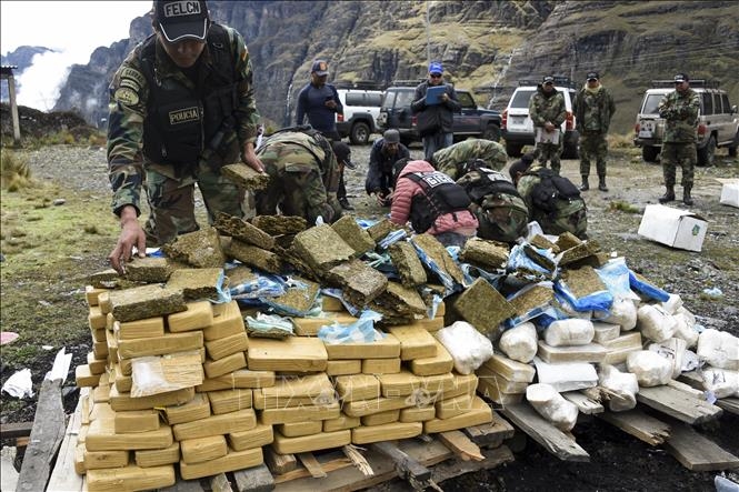 Cảnh sát chuẩn bị thiêu hủy số ma túy thu giữ tại khu vực La Rinconada, ngoại ô La Paz, Bolivia. Ảnh tư liệu: AFP/TTXVN