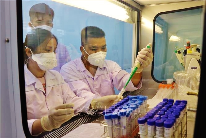 Nhân viên Trung tâm kiểm soát Bệnh tật tỉnh Phú Yên xét nghiệm SARS-CoV-2. Ảnh: TTXVN