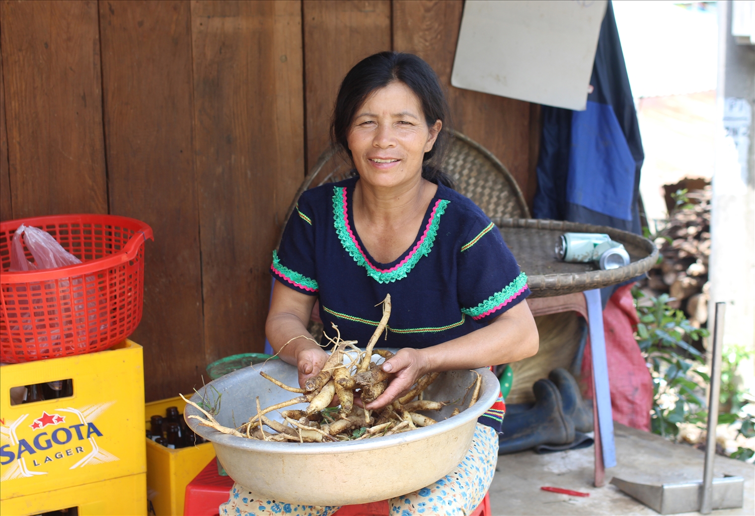 Chị Y Hlạng là người tiên phong trồng cây sâm dây ở xã Măng Ri