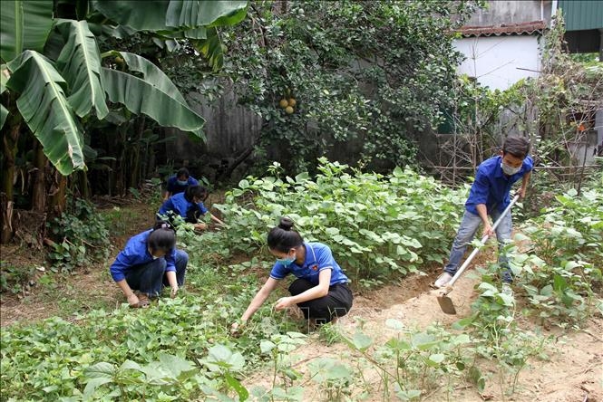 Các đoàn viên thanh niên xã Hưng Lợi, huyện Hưng Nguyên (Nghệ An) dọn dẹp nhà cửa, vệ sinh vườn cho mẹ Ngô Thị Đỉu vợ liệt sĩ Ngô Xuân Tấn. 