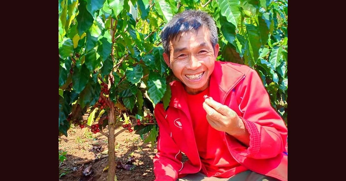 Người trồng cà phê tại Hợp tác xã Vanmai
