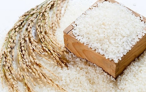 Giá lúa gạo đi ngang