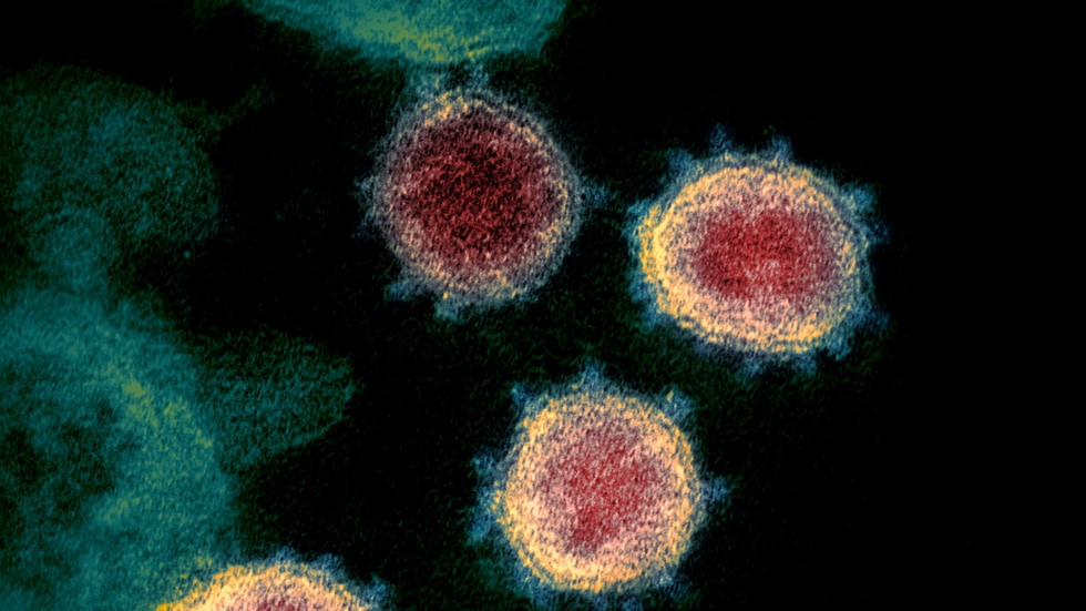 Hình ảnh virus SARS-CoV-2 qua kính hiển vi điện tử. Ảnh: Reuters