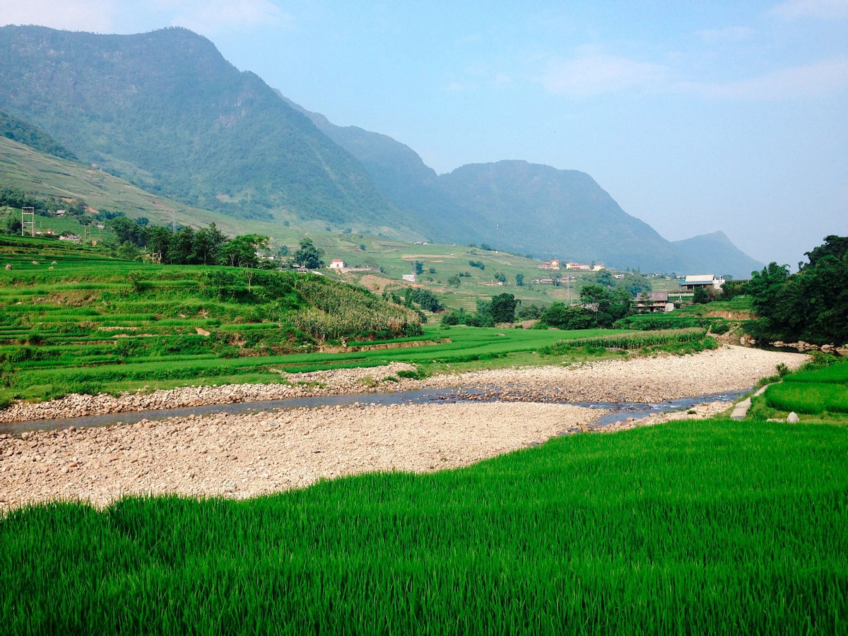 Suối Mường Hoa chảy qua ruộng lúa và bản làng, mang đến nguồn nước cho tưới tiêu và sinh hoạt