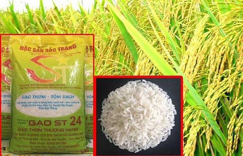 Gạo ST 24 là đặc sản nổi tiếng của tỉnh Sóc Trăng được người tiêu dùng ưa chuộng