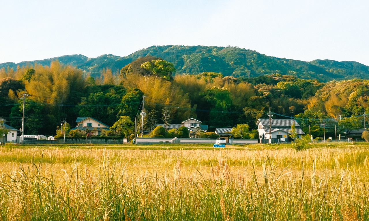 Trải nghiệm vùng đồng quê của Nhật Bản 5