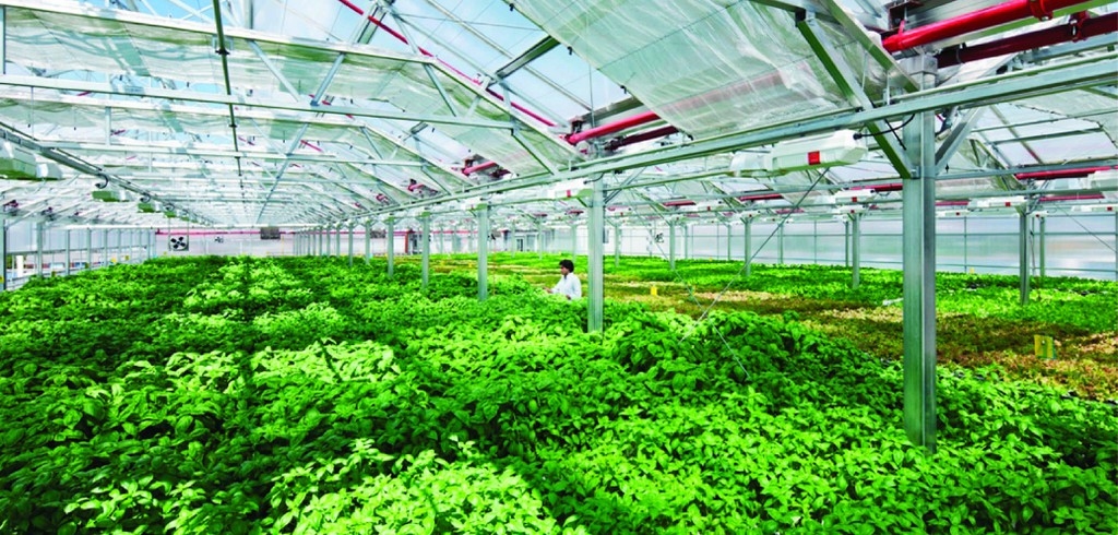 Nông nghiệp thông minh- ứng dụng công nghệ cao
