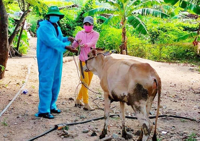 Đại diện Phòng Lao động, Thương binh và Xã hội huyện Sông Hinh trao bò sinh sản cho một hộ nông dân ở xã Sơn Giang