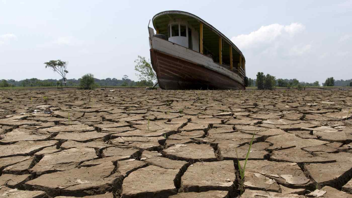 Sông Amazon ở Brazil bị khô cạn. Ảnh: Reuters