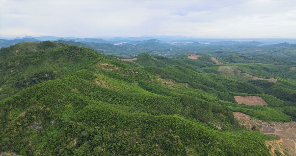 Tại xã Tam Mỹ Tây còn sót lại 30 ha rừng tự nhiên ở bốn ngọn núi Hòn Dồ, Hòn Ông, Dương Bông và Dương Bản Lầu. Rừng tự nhiên giữa các núi này bị chia cắt từ 1 đến 3 km bởi rừng trồng cây gỗ keo tràm nên bị cô lập với các hệ sinh thái rừng tự nhiên khác với khoảng cách từ 7 đến 10 km.
