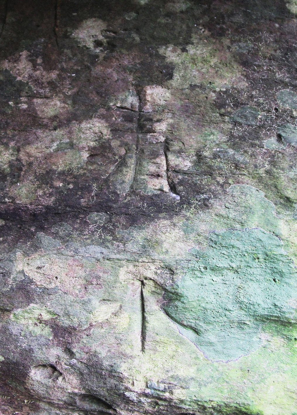 Chữ Hán Thanh Thủy được khắc trên vách đá tại động Thanh Thủy