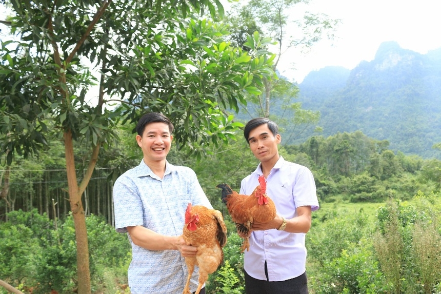 Giám đốc HTX Trần Phú Nguyễn Văn Tuân (bên phải) giới thiệu quy trình nuôi gà đồi sạch. Ảnh Xuân Mai