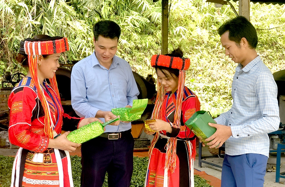 Những đảng viên tiên phong ở Linh Phú đưa sản phẩm chè trở thành hàng hóa, được xếp hạng 3 sao OCOP. (Ảnh chụp trước ngày 27/4/2021)