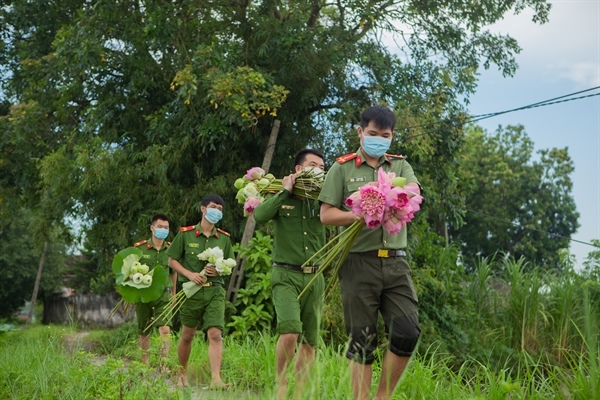 Công an huyện Ứng Hòa, Hà Nội hỗ trợ người dân thu hoạch và tiêu thụ hoa sen 11