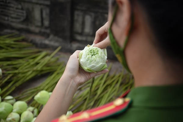 Công an huyện Ứng Hòa, Hà Nội hỗ trợ người dân thu hoạch và tiêu thụ hoa sen 8