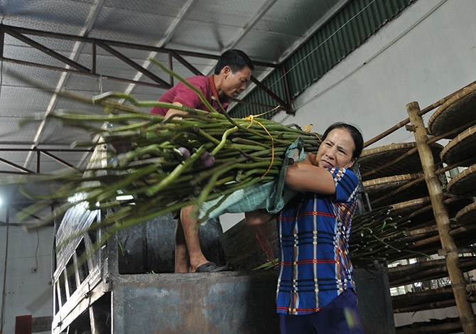  Dệt lụa từ tơ sen, tại xã Phùng Xá, huyện Mỹ Đức, là một ngành nghề độc đáo của Hà Nội
