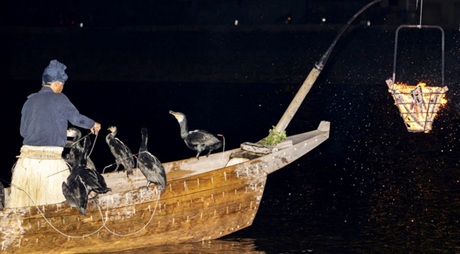 Chủ thuyền mang đàn chim cốc đi bắt cá