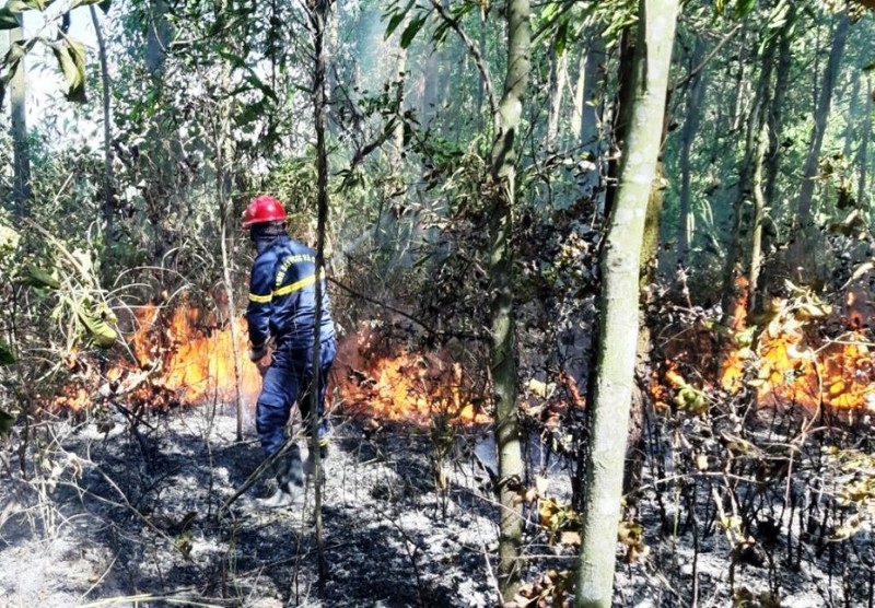 Hiện trường một vụ cháy rừng tại huyện Hòa Vang, năm 2019