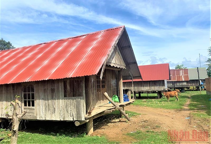 Tại các buôn cổ của đồng bào M’nông bên hồ Lắk còn lưu giữ được nhiều nhà dài truyền thống
