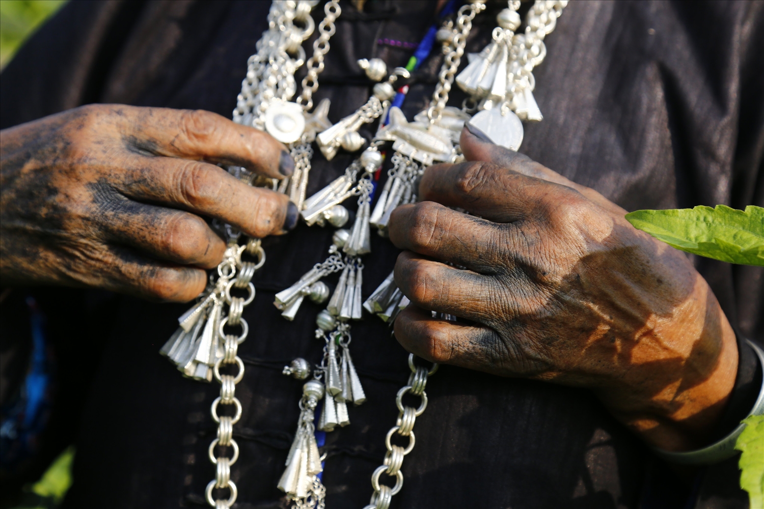 Đôi bàn tay của phụ nữ Nùng xanh màu nước chàm sau mỗi đợt nhuộm vải