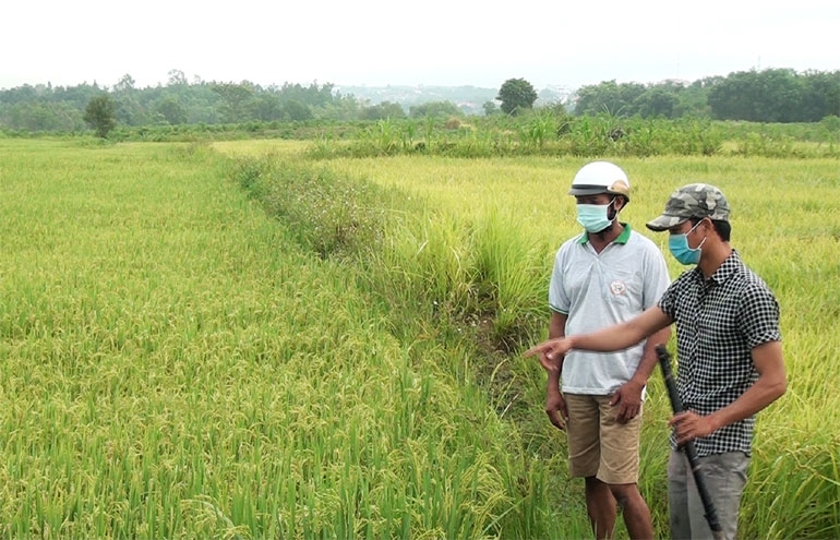 Cán bộ nông nghiệp huyện Sông Hinh phổ biến chương trình hỗ trợ nông nghiệp cho gia đình anh Ma Nhật
