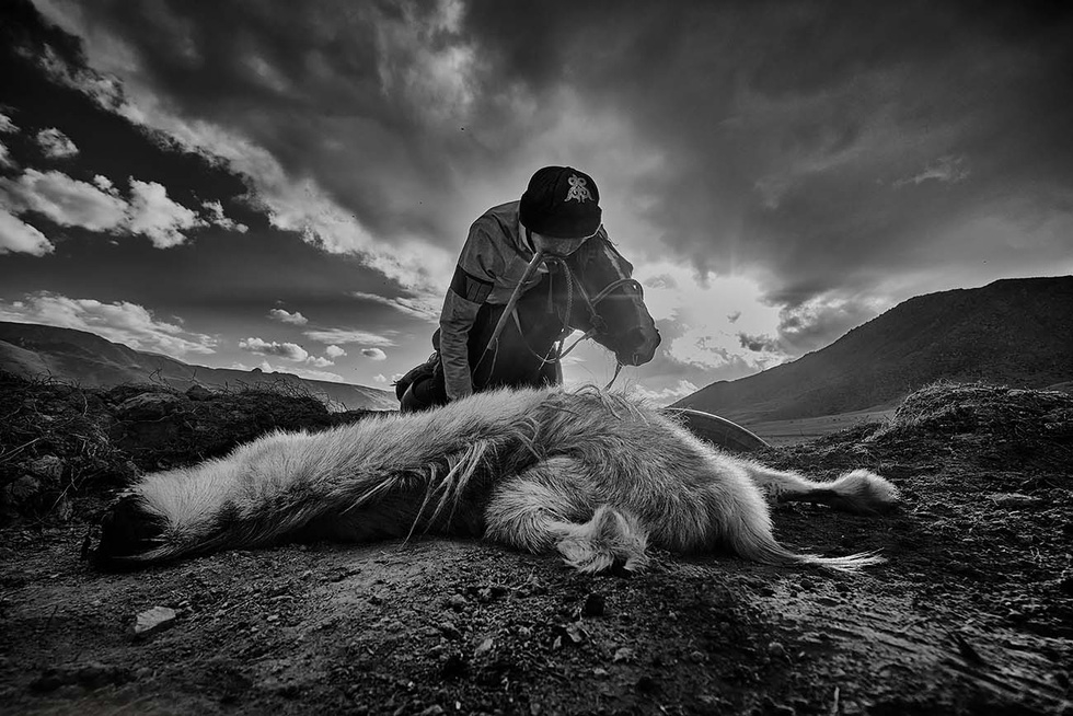 Bộ ảnh "Dead Goat Polo" (Con dê Polo chết) của tác giả Alain Schroeder đoạt giải Nhì. Bộ ảnh này nói về trò chơi Kok Boru ở làng Taldy-Bulak. Kok Boru là một môn thể thao quốc gia của Kyrgyzstan. Trò chơi này được cho là bắt nguồn từ những người du mục săn bắn hoặc bảo vệ gia súc của họ trước những con sói săn mồi. Tham gia trò chơi có hai đội ngồi trên lưng ngựa, trong đó người chơi cố gắng ghi bàn bằng cách đưa thi thể một con dê không đầu nặng 20kg vào khung thành đối phương.