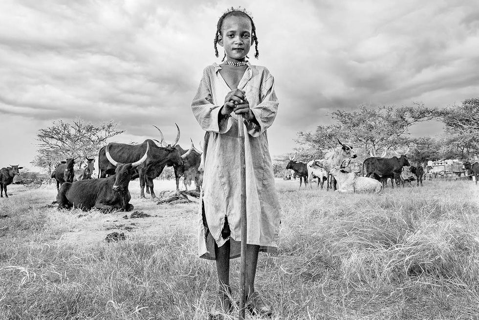 Bức ảnh "Cậu bé Wodaabe đầy tự hào" trong bộ ảnh "Wodaabe, những người du mục của Sahel" của tác giả France Leclerc. Người Wodaabe là những người du mục chăn gia súc, và họ phụ thuộc hoàn toàn vào đàn gia súc để tồn tại. Các cậu bé thường giúp chăn gia súc từ năm 7 tuổi. Cậu bé này đã truyền đi niềm tự hào của mình khi đạt đến giai đoạn đó, bằng cách đứng trước đàn bò Zebu sừng to - Ảnh: France Leclerc/AAP