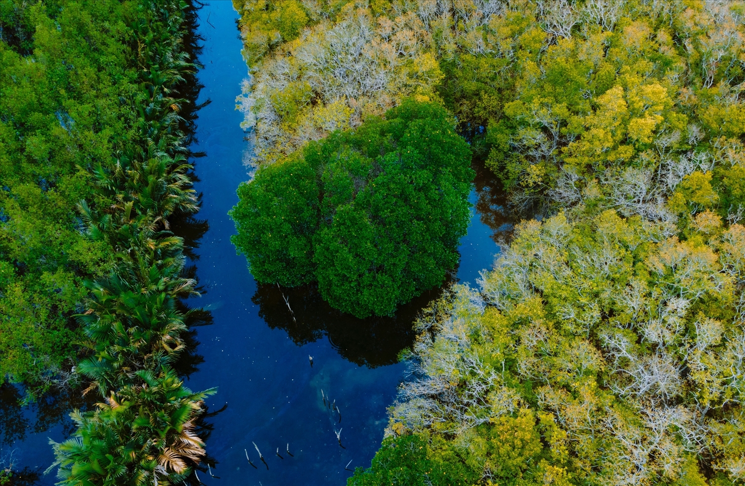 Vùng rừng ngập mặn yên bình, sông nước Tam Giang mênh mông khiến người xem thổn thức