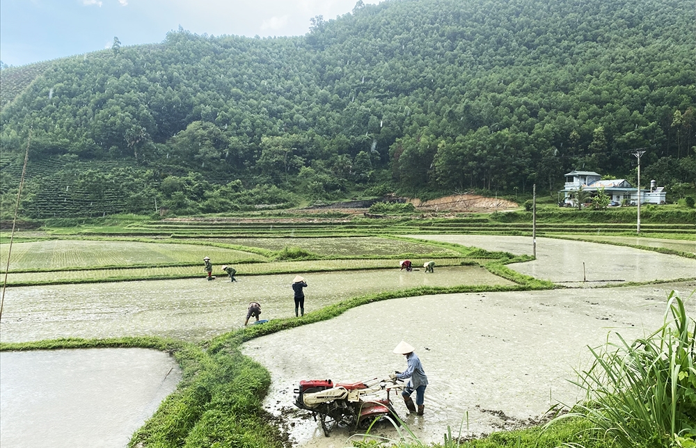 Nhờ chuyển đổi cơ cấu cây trồng, đời sống của người dân Tân Sơn từng bước được cải thiện