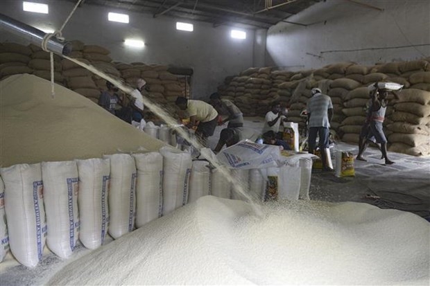 Công nhân làm việc tại nhà máy xay xát gạo ở Hyderabad, Ấn Độ. Ảnh tư liệu: AFP/TTXVN