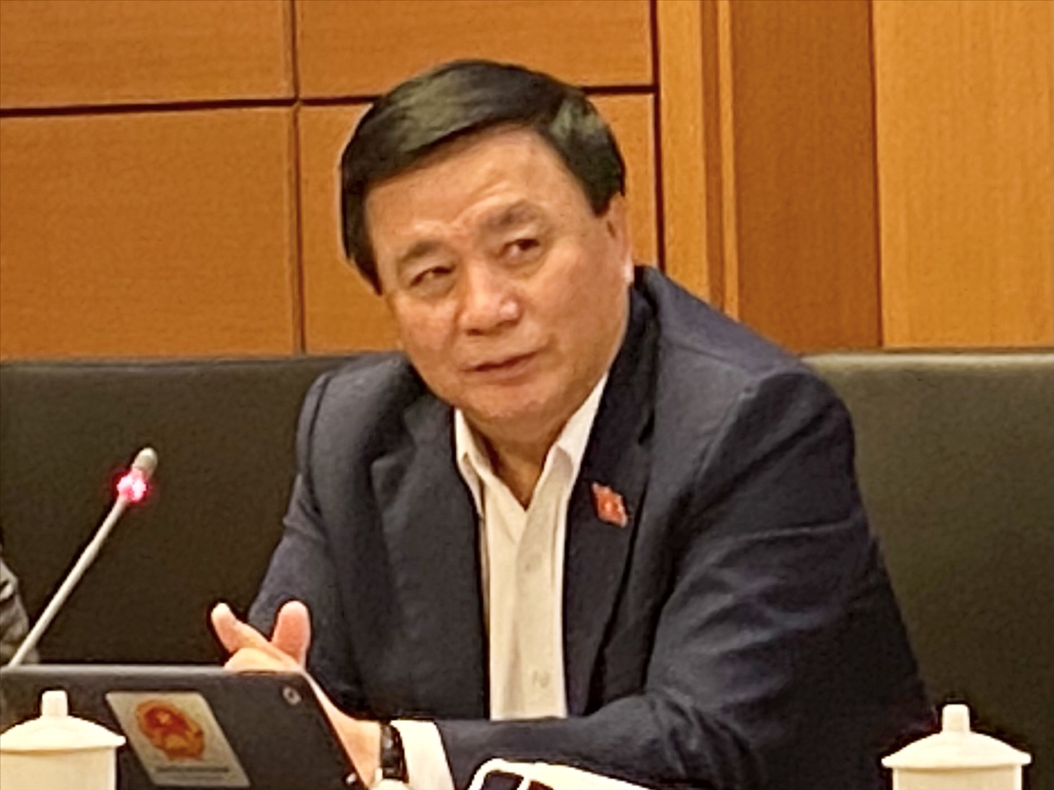 Đại biểu Nguyễn Xuân Thắng phát biểu tại phiên họp ở tổ