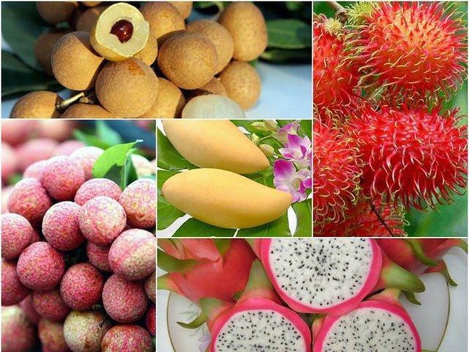Nhiều rau, quả nông sản của Việt Nam được xuất khẩu sang thị trường EU (Ảnh minh họa)