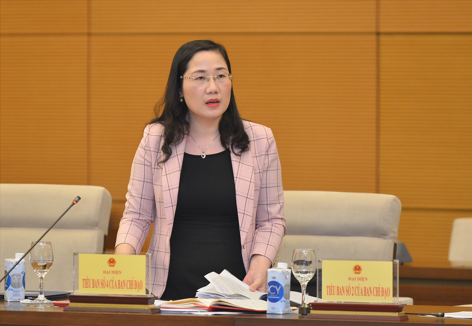 Phó Chủ nhiệm Ủy ban Tư pháp của Quốc hội Nguyễn Thị Thủy 