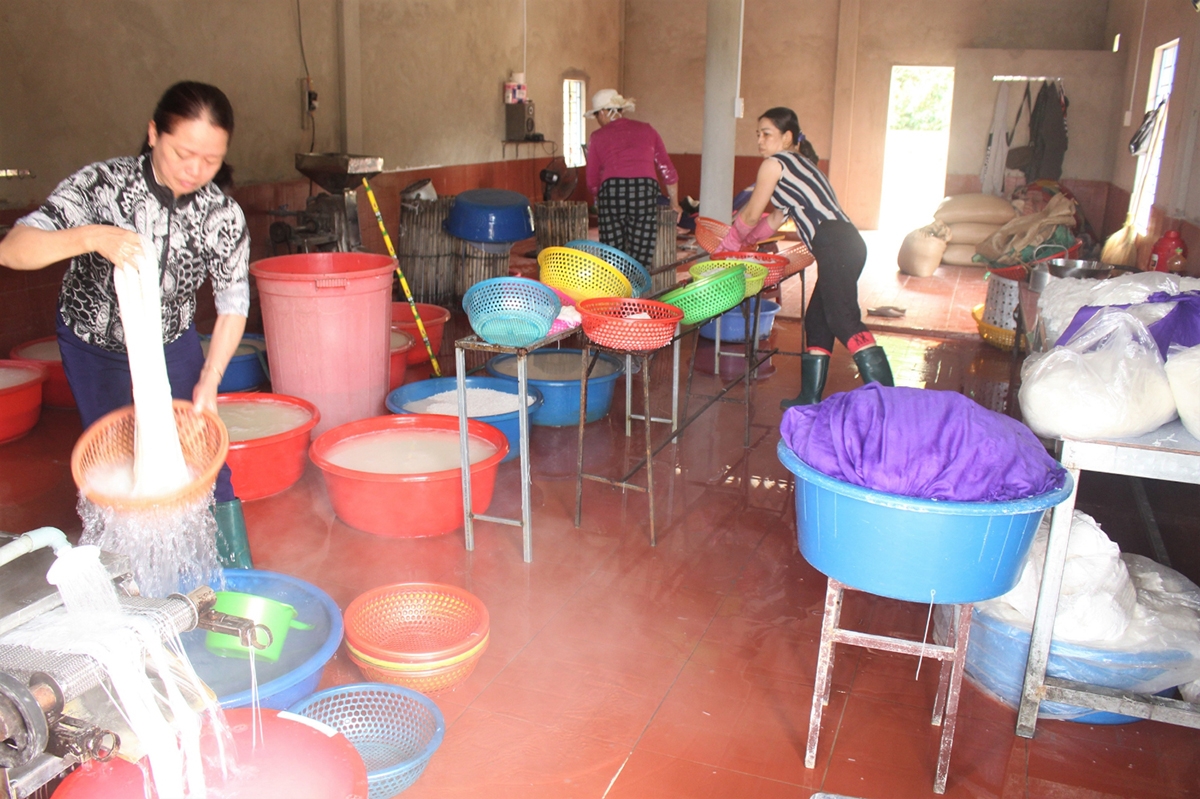Hiện làng Thượng Trạch và Linh Chiểu xã Triệu Sơn có gần 100 hộ sản xuất bún, trung bình mỗi ngày sản xuất trên 20 tấn bún. (Trong ảnh: Một cơ sở sản xuất bún ở Thượng Trạch)