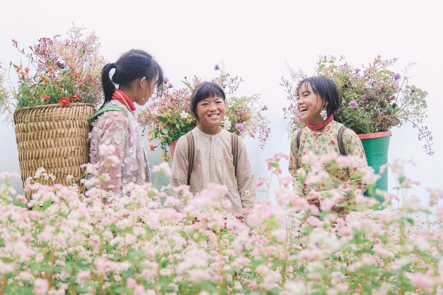 Những bé gái người dân tộc thiểu số đứng giữa cánh đồng hoa như một điểm nhấn thú vị mỗi khi du khách ghé tham quan, chụp ảnh với tam giác mạch. (Ảnh: PV/Vietnam+)