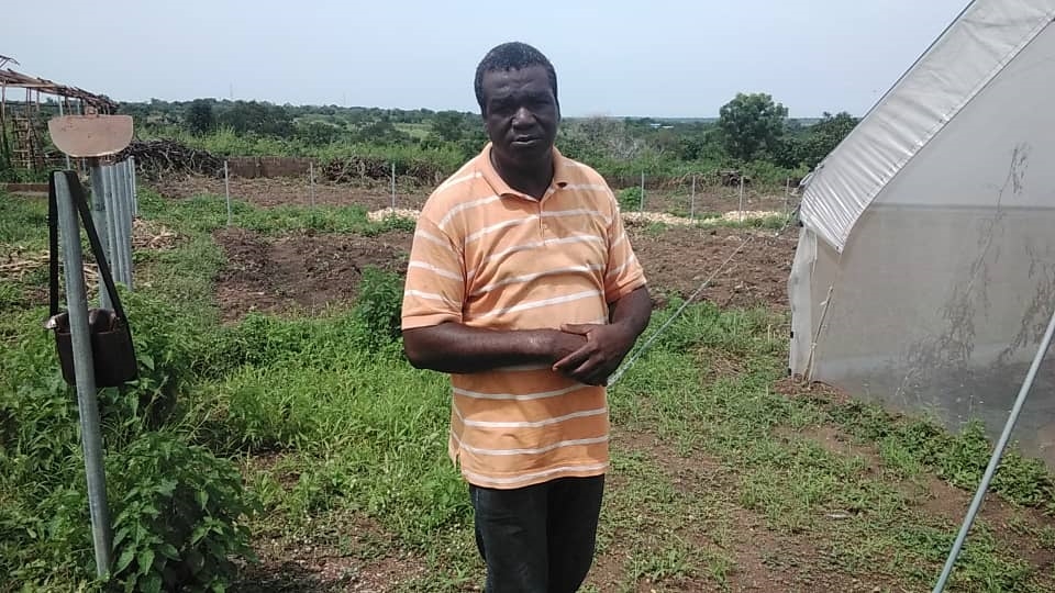 Anh Orija Oladimeji là người áp dụng đầu tiên thử nghiệm phương pháp trồng rau trong nhà kính tại bang Kwara