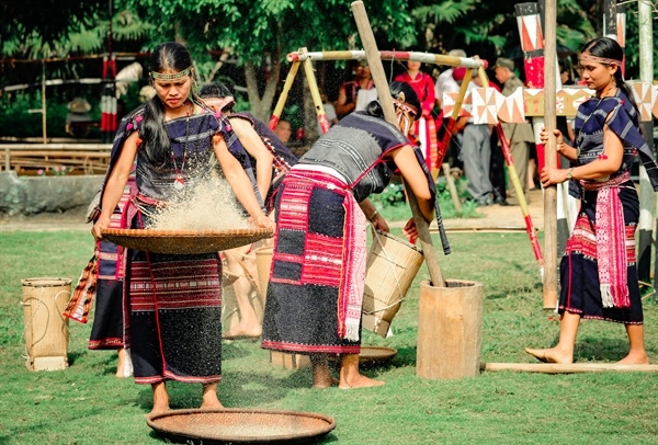 Tái hiện Lễ mừng lúa mới của người Ba Na tại Làng Văn hóa - Du lịch các dân tộc Việt Nam