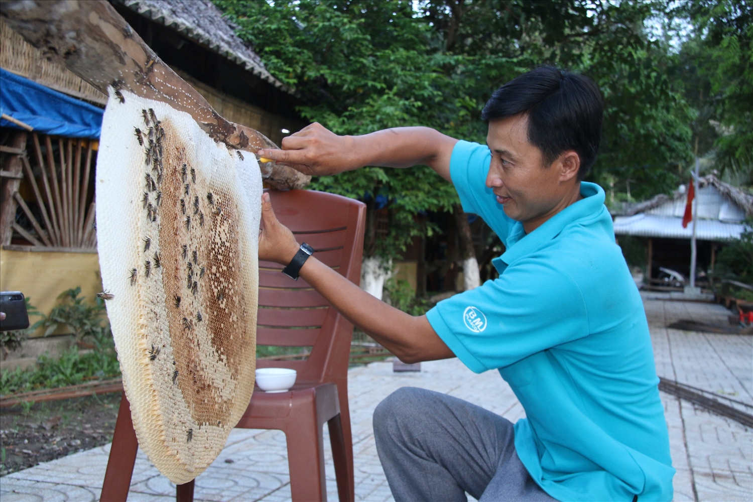 Trải nghiệm "ăn ong" vô cùng thú vị tại Cà Mau