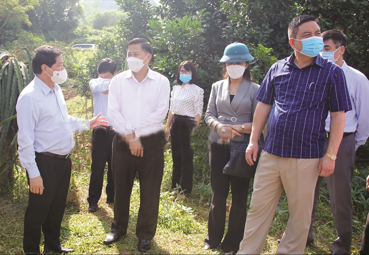 Trong khuôn khổ chương trình, Đoàn đã khảo sát thực tế tại huyện Cao Phong và Trung tâm Giống cây trồng, vật nuôi và thủy sản tỉnh