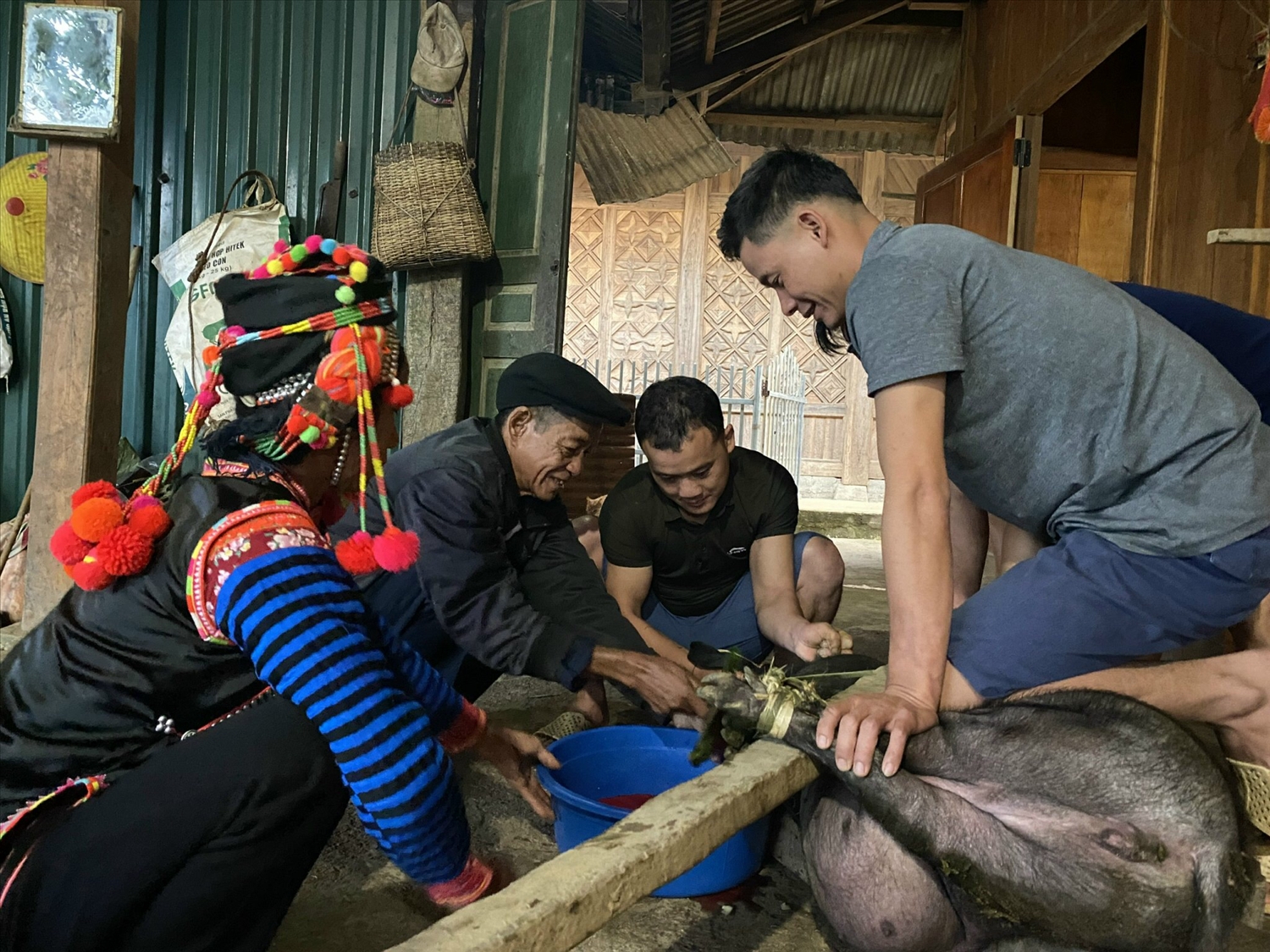 Vào ngày tết Hồ Sự Chà, mỗi gia đình người Hà Nhì đều chọn con lợn to nhất để mổ cúng ông bà tổ tiên