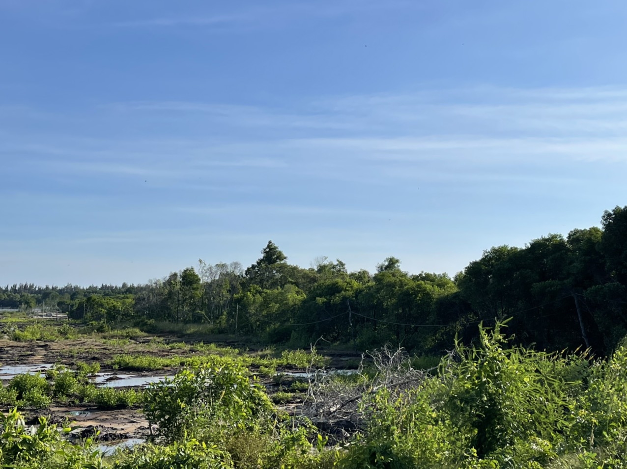 Dự án “Billand Villa HPC” thực tế vẫn là khu sình lầy, chồng lấn đất rừng. (Ảnh do phóng viên chụp thực địa cùng UBND huyện Đất Đỏ vào giữa tháng 11/2021)