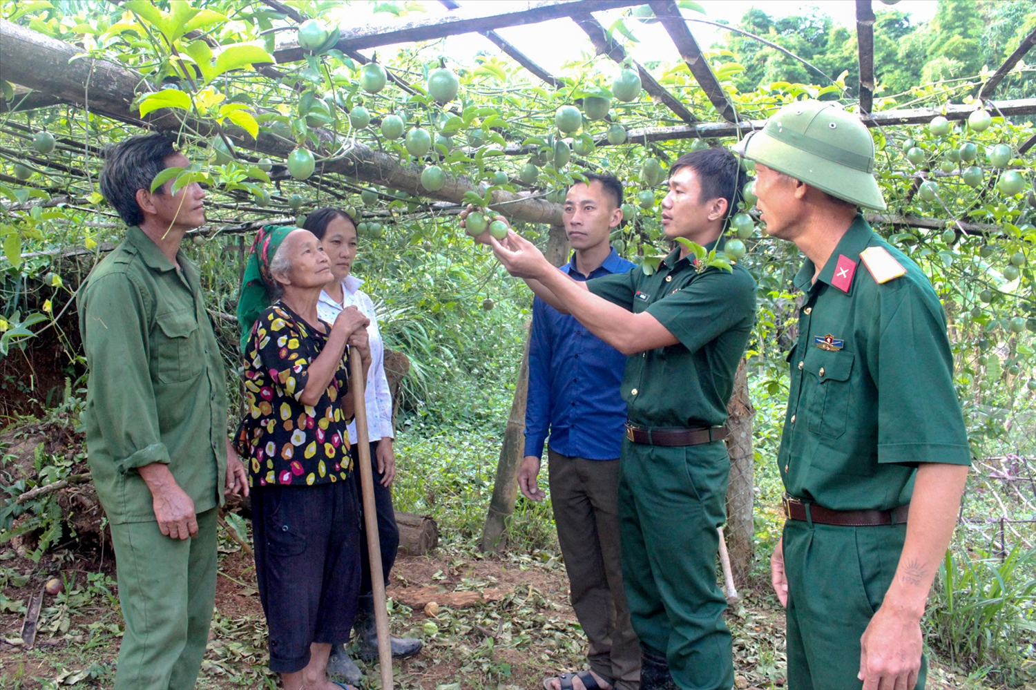Cán bộ Đoàn KT-QP 4 hướng dẫn Nhân dân kỹ thuật chăm sóc cây chanh leo